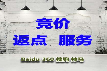 网络推广竞价实战案例分析集